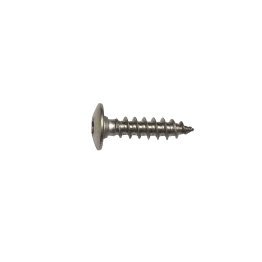 Vis penture Inox A2, Torx, Ø 6 x 40 mm (Sachet de 20 vis)