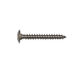 Vis penture Inox A2, Torx, Ø 7 x 70 mm (Sachet de 20 vis)