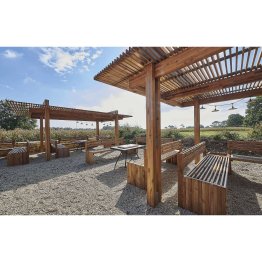 Pergola Bois Autoportée Manéa Pin, imprégnation colorée marron, L. 6 m x l. 4 m x h. 2,81 m
