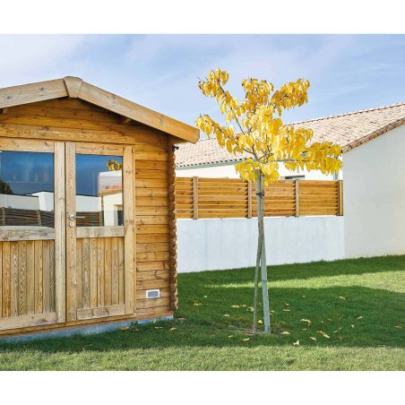 Panneau Bois Humoristique 'La Maison Ne Fait Plus Crédit' 30x40cm – Antic Line