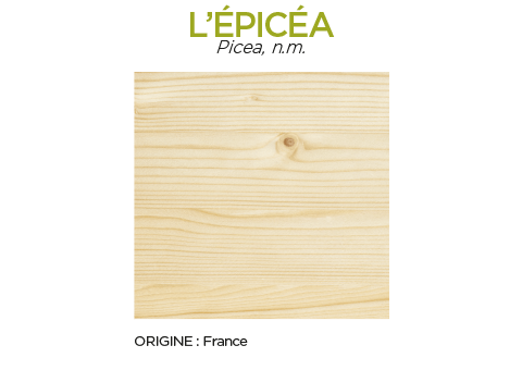Essence de bois Epicéa