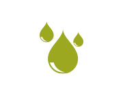 Gérer la forêt permet d’assainir l’eau